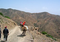 Retour d'Idikl &agrave; dos de mulets