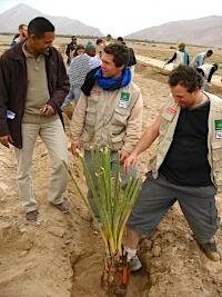 21.02, Green Day : les tudiants du StudentsChallenge plantent 200 palmiers avec les habitants