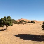 Mouettes – Ecole de Tiharyine 03