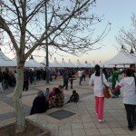 La ville est belle comme une fleur de cerisier SAM 5910z 150x150 La ville est belle comme une fleur de cerisier azekka france maroc association