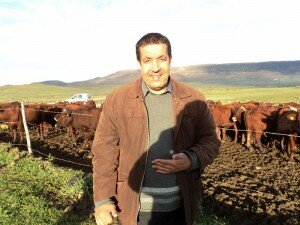 375486_453292621396897_1891055971_n